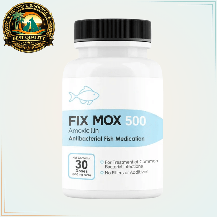 Fish Mox 500mg 100capsules