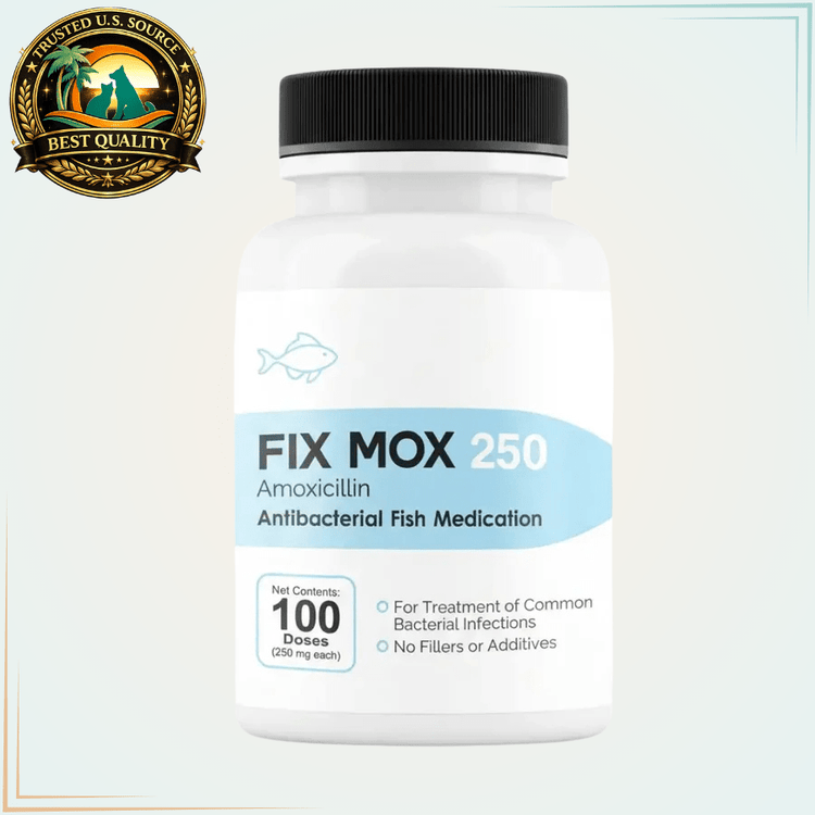 Fish Mox 250mg