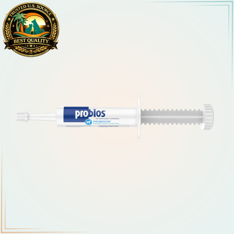 Probiocin Probiotic Oral Gel for Dogs and Other Pets 15g Syringe - Calvetsupply