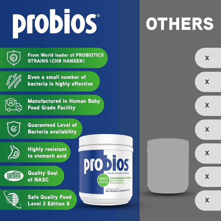 ProBios Probiotic Powder for All Species 240 Gram Powder - Calvetsupply