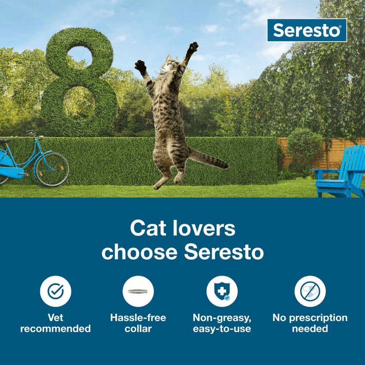 Seresto Flea and Tick Collar for Cats - Calvetsupply