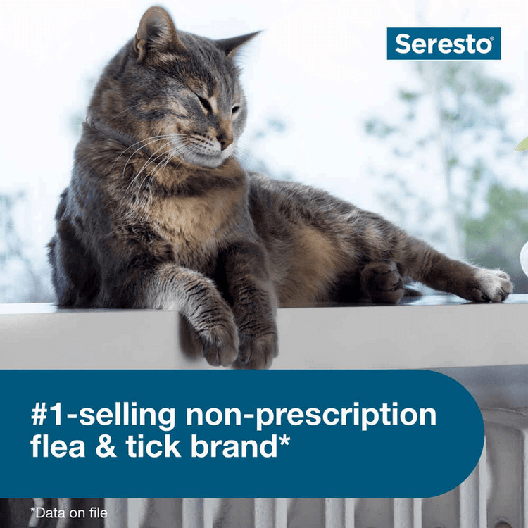 Seresto Flea and Tick Collar for Cats - Calvetsupply