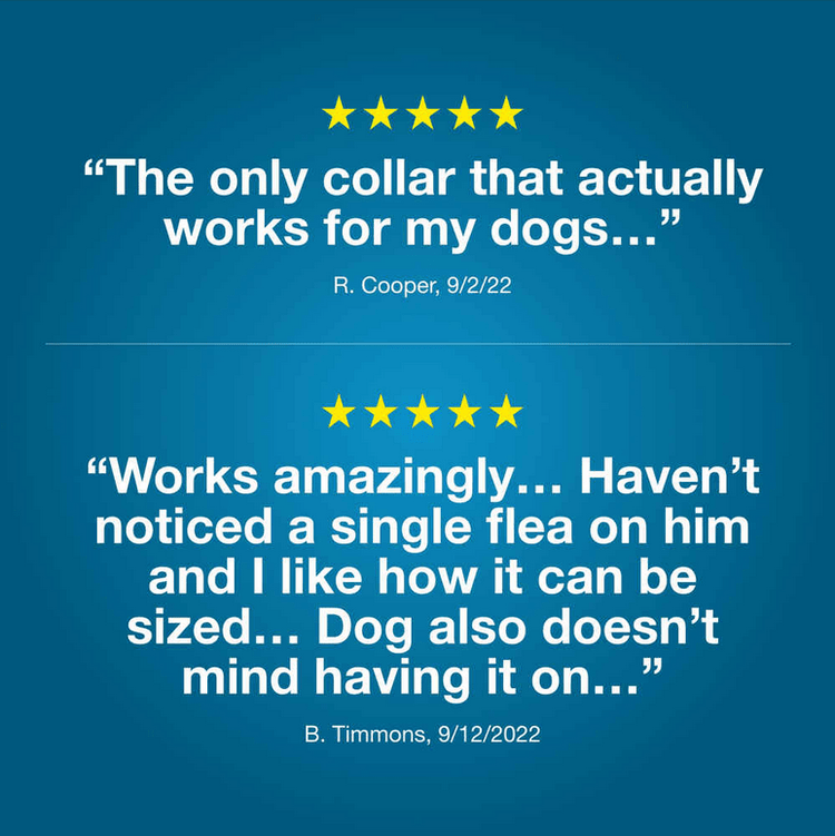 Seresto Flea and Tick Collar for Large Dogs - Calvetsupply