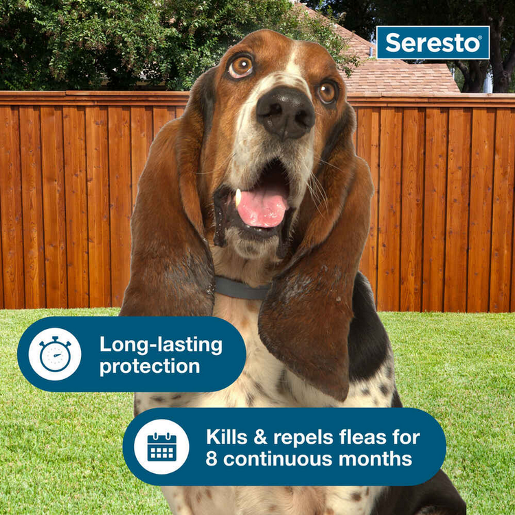 Seresto Flea and Tick Collar for Small Dogs - Calvetsupply