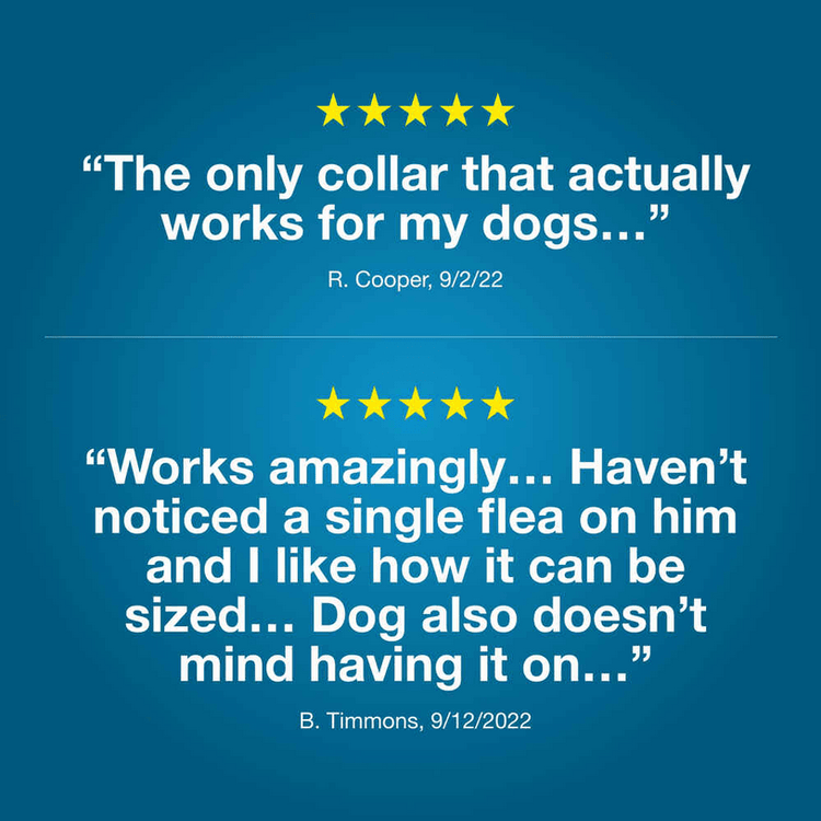 Seresto Flea and Tick Collar for Small Dogs - Calvetsupply