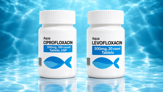 Ciprofloxacin and Levofloxacin: What the Headlines Mean - Calvetsupply