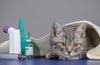 No Need for a Prescription with These Popular Vet Meds ( Fish antibiotics ) - Calvetsupply