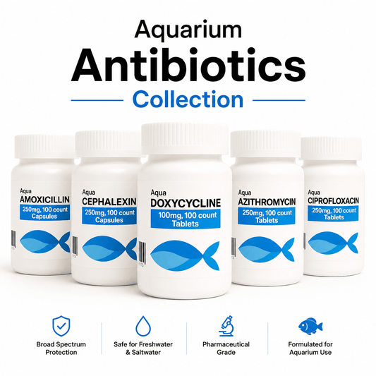 Aquarium Antibiotics