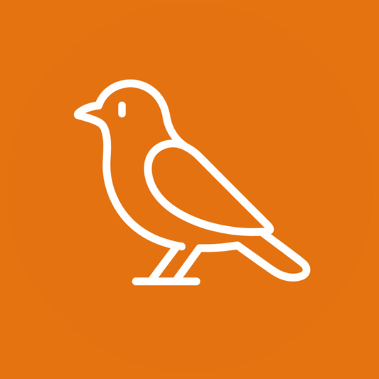 Bird Antibiotics