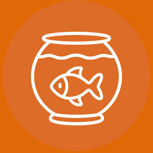 Fish Antibiotics
