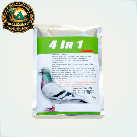 4 in 1 Powder – All-in-One Treatment for Paratyphoid, Canker, Coccidiosis & E. Coli - Calvetsupply