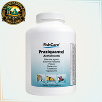 Praziquantel aquarium fish treatment powder – treats 2,000 gallons