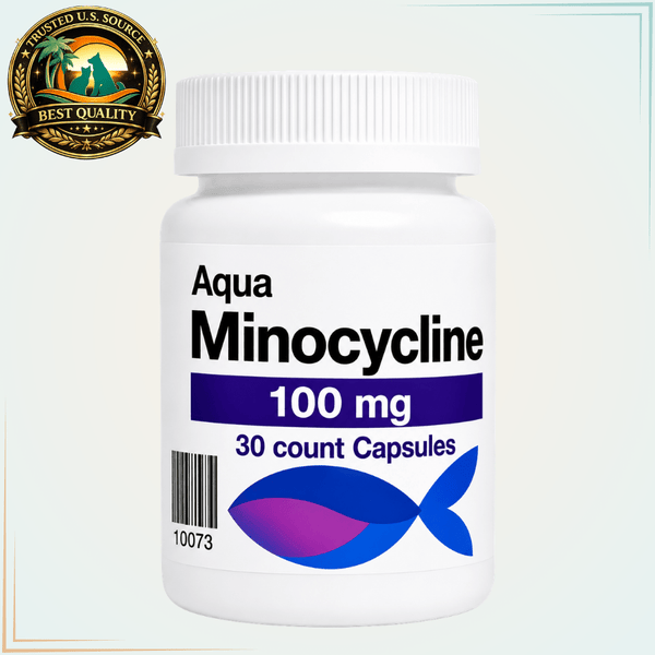 Aquarium Minocycline 100mg Fish Antibiotic for Popeye - 30 Capsules - Calvetsupply