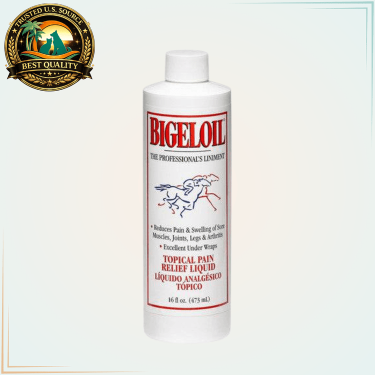 Bigeloil Topical Recovery Liquid for Horses and Dogs 16 Oz - Calvetsupply