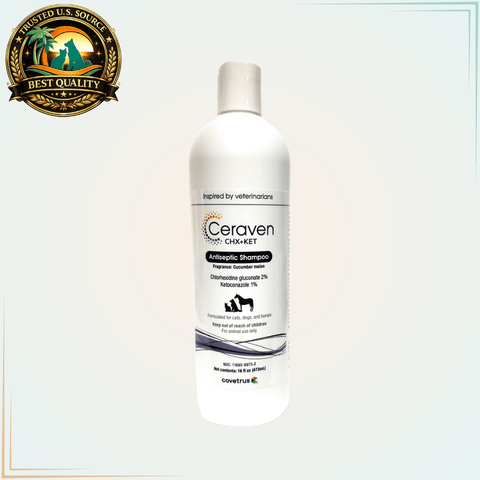 Ceraven CHX+KET (formerly Phyto CK) Antiseptic Shampoo - 16 oz. - Calvetsupply