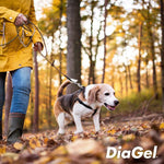 DiaGel Anti-Diarrhea and Digestive Support For Medium Dogs - 3 ml - Calvetsupply