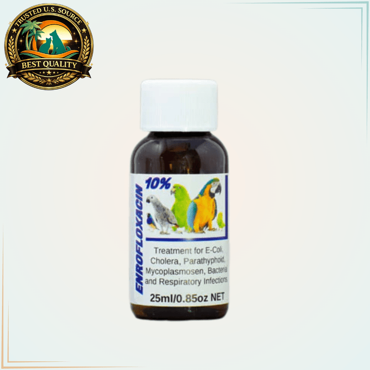 Enrofloxacin 10% Liquid – Broad-Spectrum Antibiotic for Birds & Exotic Pets - Calvetsupply