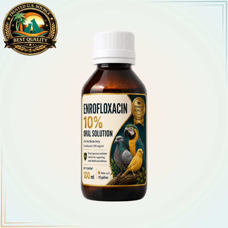 Enrofloxacin 10% Oral Solution for Pet Birds – 100 mg/mL, 100 mL - Calvetsupply