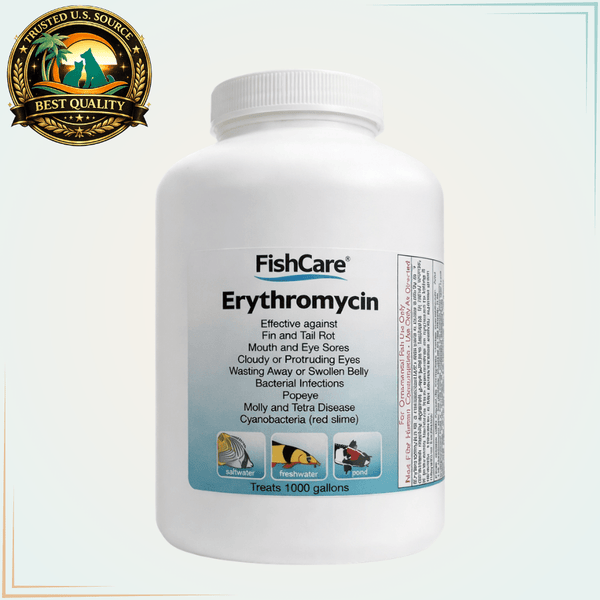 Erythromycin Fish Antibiotic Powder for Fin & Tail Rot – 1,000 Gallons - Calvetsupply