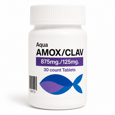 fish amoxicillin clavulanate 875/125mg 875mg/125mg – 30 Count - Calvetsupply