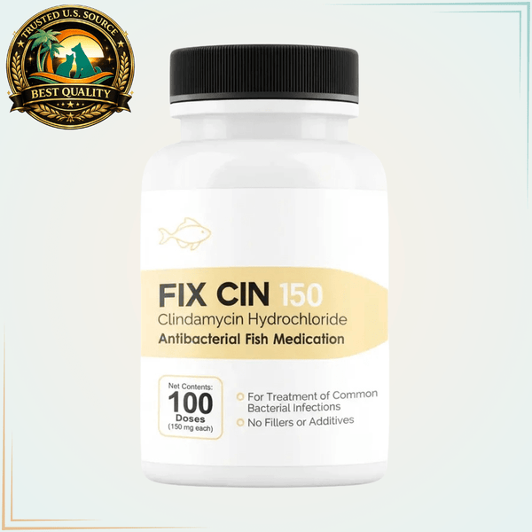 Fish Clindamycin 150mg (Fish Cin) | Fish Antibiotic