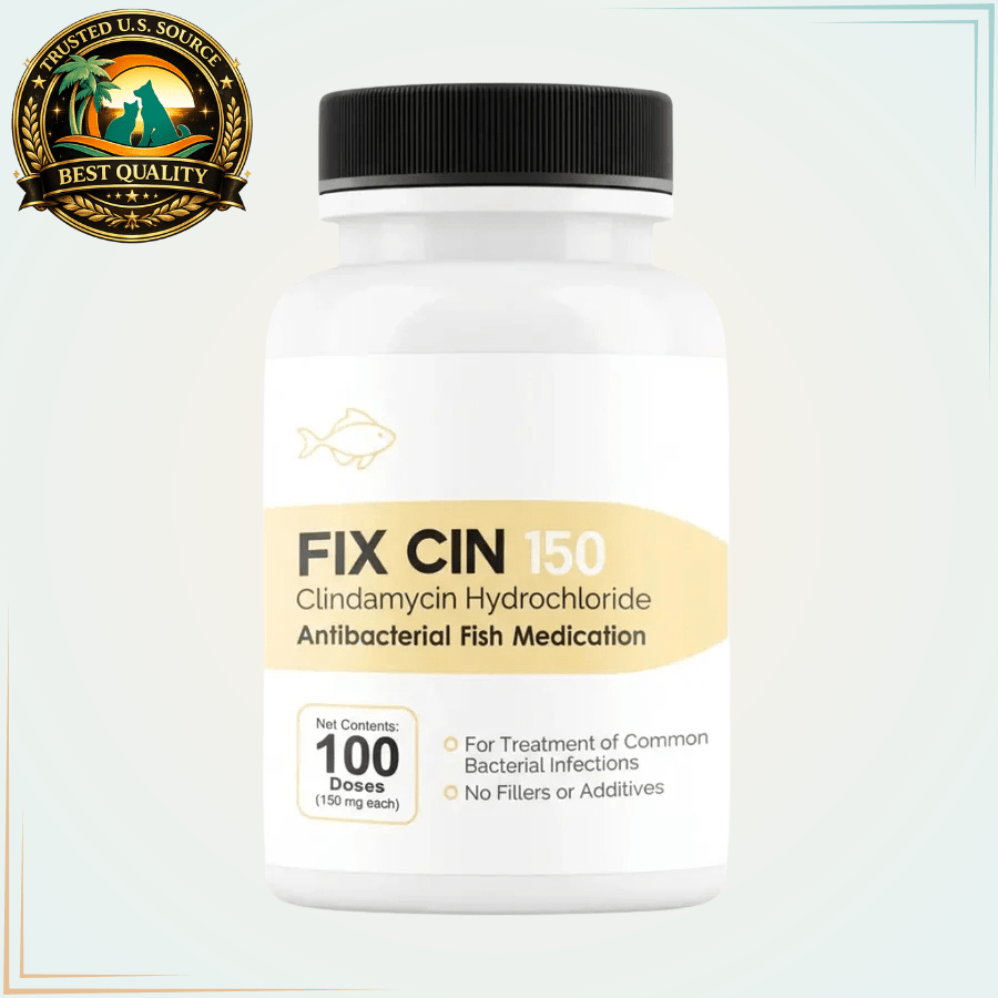 Fish Clindamycin 150mg (Fish Cin) | Fish Antibiotic