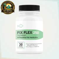 Fish cephalexin