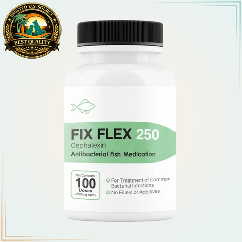 Fish cephalexin