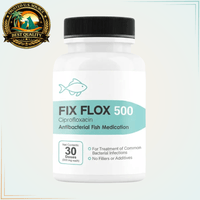 Fish Flox (Fix Flox) fish Ciprofloxacin 500mg Fish Antibacterial - Calvetsupply