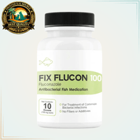 Fish Flucon (Fix Flucon) fish Fluconazole 100mg Fish Antifungal - Calvetsupply