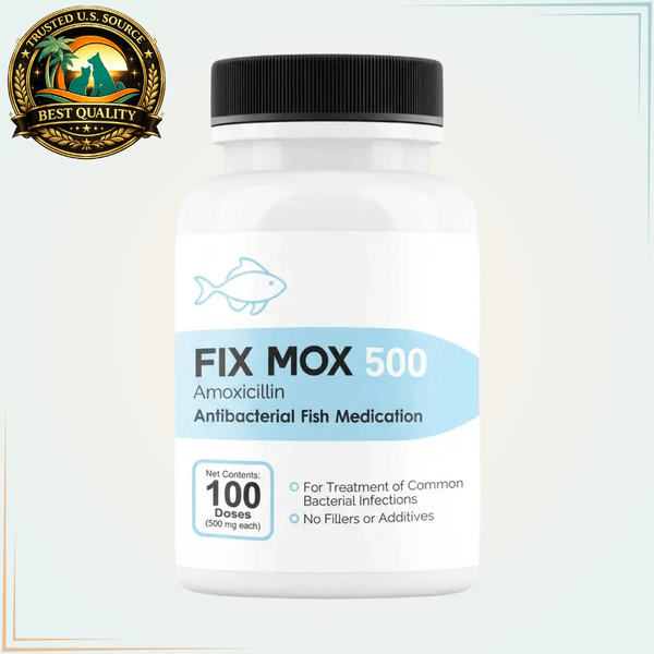 Fish Mox Amoxicillin 250mg & 500mg