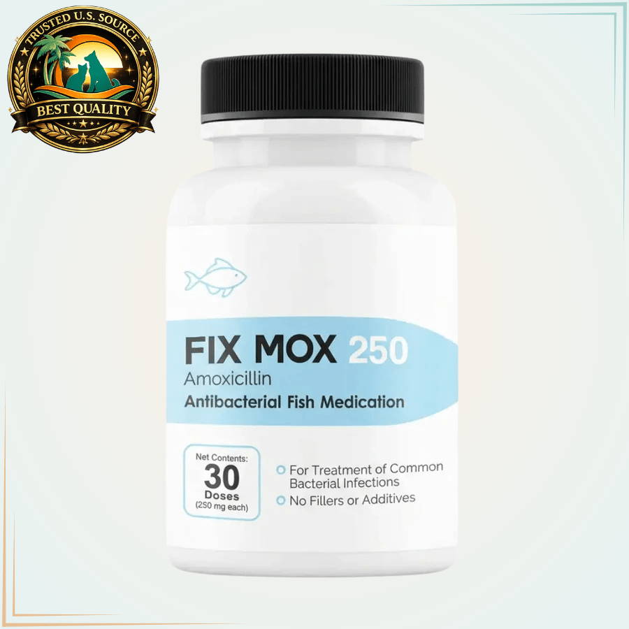Mox 250mg