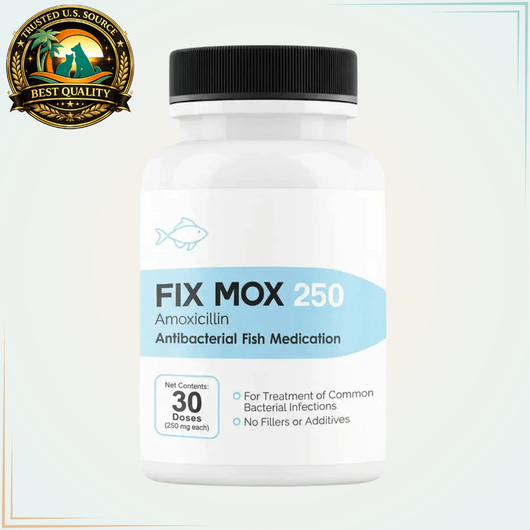 Mox 250mg