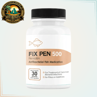 Fish Pen (Fix Pen) fish Penicillin 500mg Fish Antibacterial - Calvetsupply