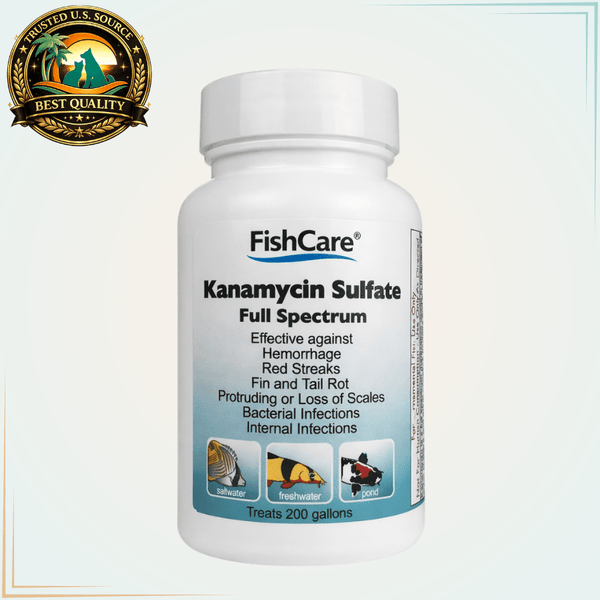 Kanamycin Sulfate Broad-Spectrum Fish Antibiotic Powder – 200 Gallons - Calvetsupply