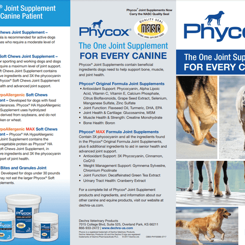 Phycox HA Small Bites Joint Supplement for Dogs 120 Chews - Calvetsupply