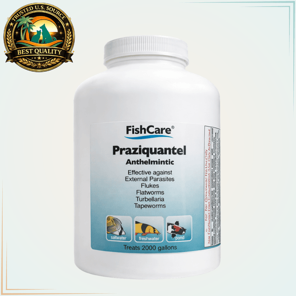 Praziquantel Fish Parasite Treatment for Flukes & Tapeworms – 2,000 Gallons - Calvetsupply