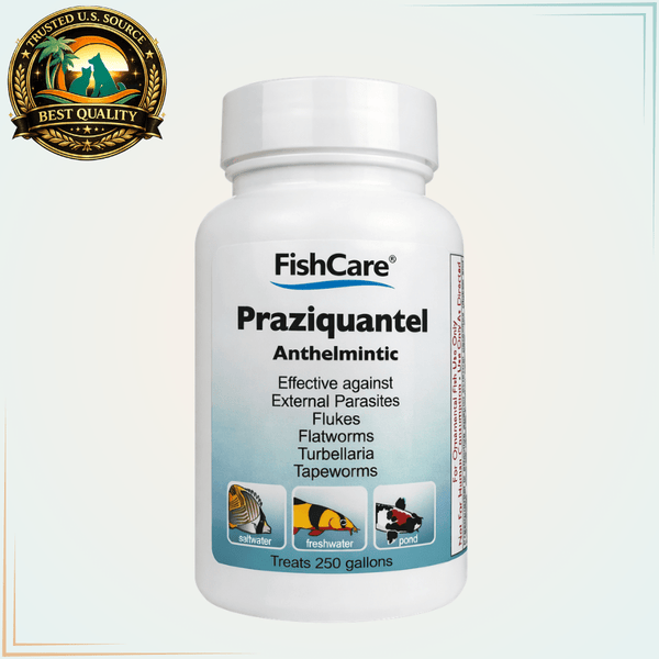 Praziquantel Fish Parasite Treatment for Flukes & Tapeworms – 250 Gallons - Calvetsupply