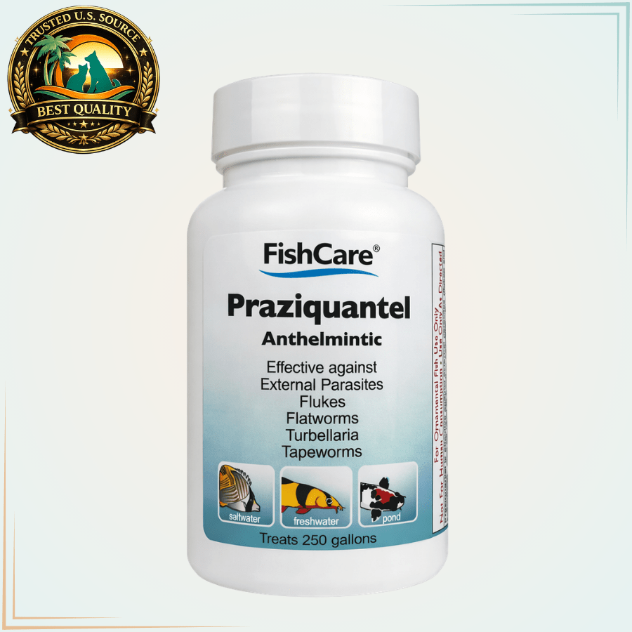 Praziquantel Fish Parasite Treatment for Flukes & Tapeworms – 250 Gallons - Calvetsupply