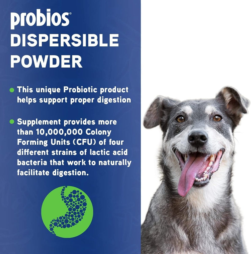 ProBios Probiotic Powder for All Species 240 Gram Powder - Calvetsupply