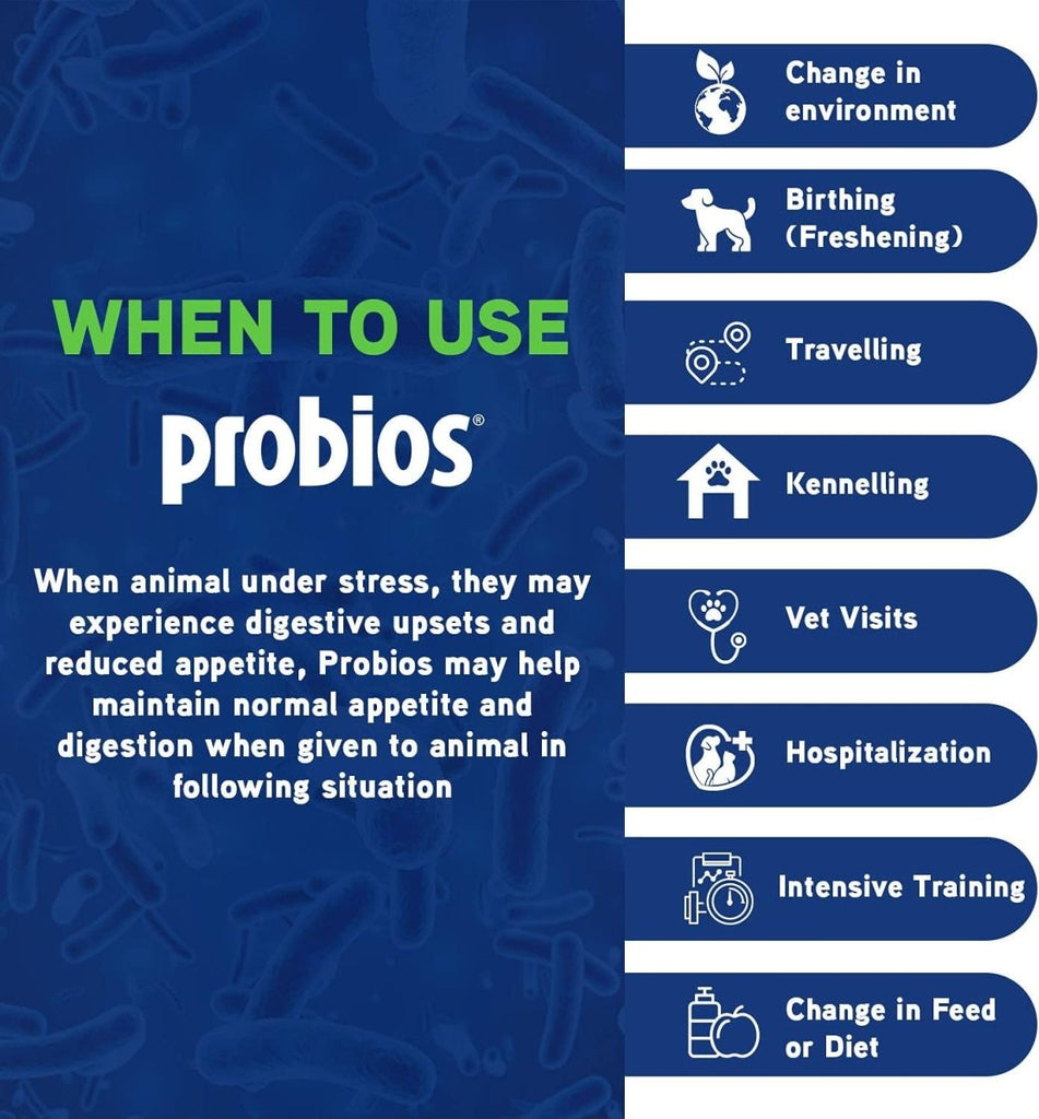 ProBios Probiotic Powder for All Species 240 Gram Powder - Calvetsupply