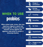 ProBios Probiotic Powder for All Species 240 Gram Powder - Calvetsupply
