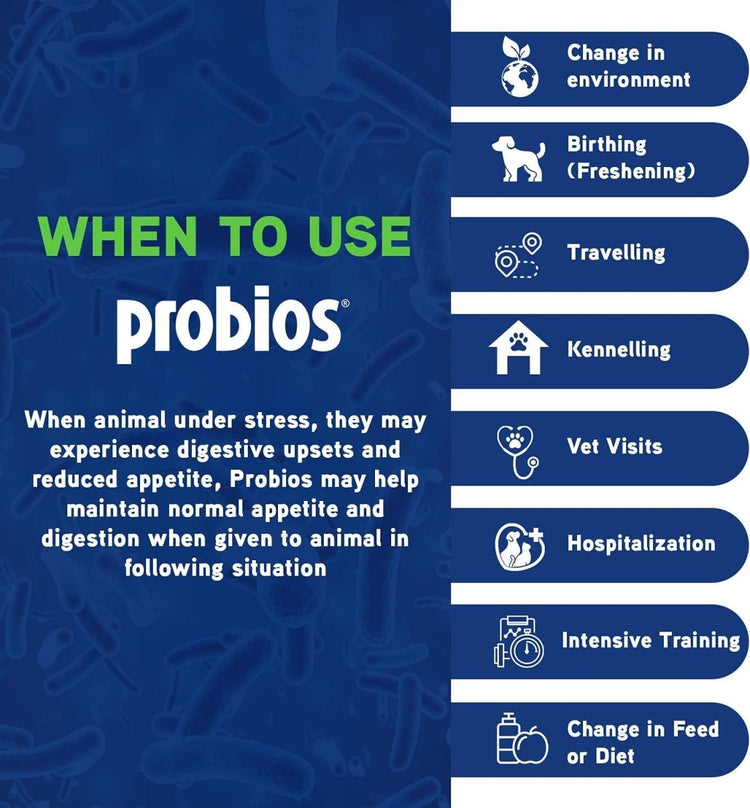ProBios Probiotic Powder for All Species 240 Gram Powder - Calvetsupply