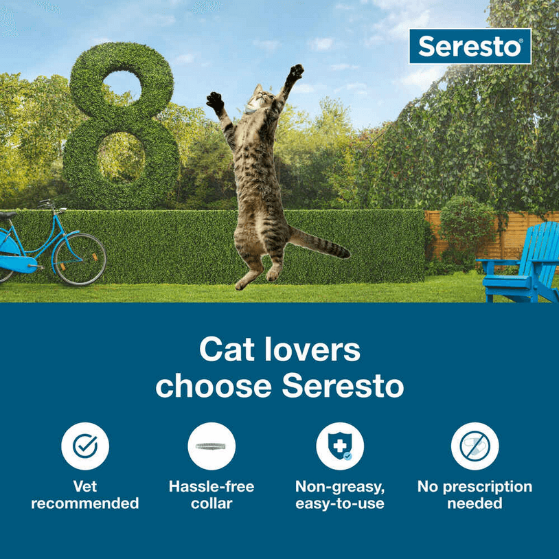 Seresto Flea and Tick Collar for Cats - Calvetsupply