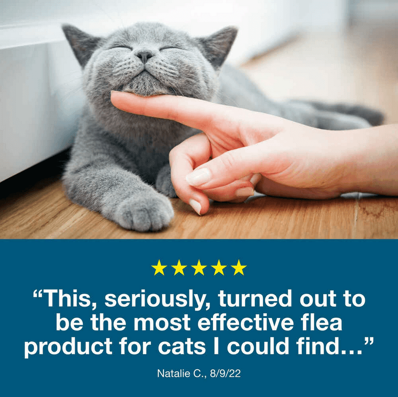 Seresto Flea and Tick Collar for Cats - Calvetsupply