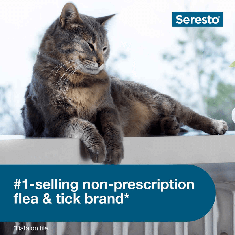 Seresto Flea and Tick Collar for Cats - Calvetsupply