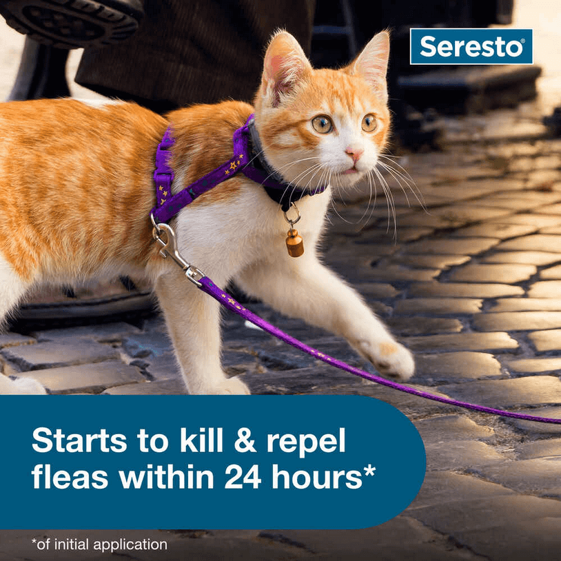 Seresto Flea and Tick Collar for Cats - Calvetsupply