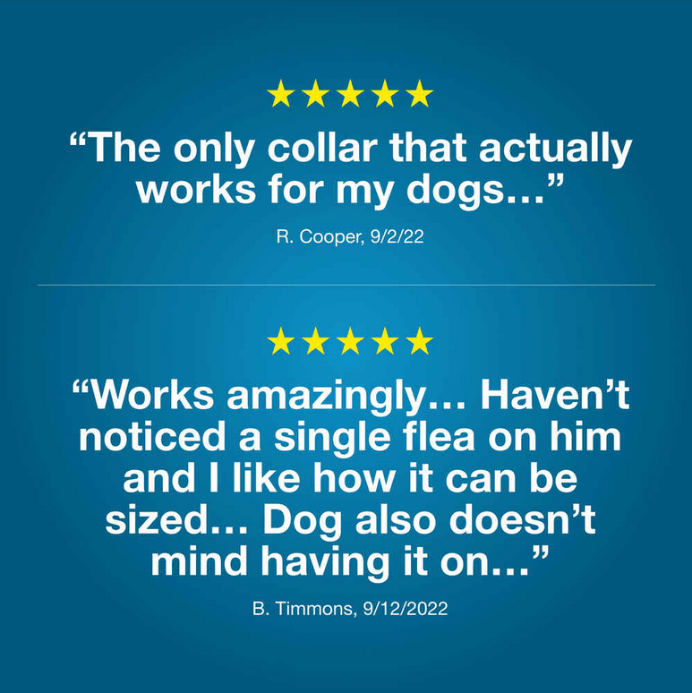 Seresto Flea and Tick Collar for Large Dogs - Calvetsupply