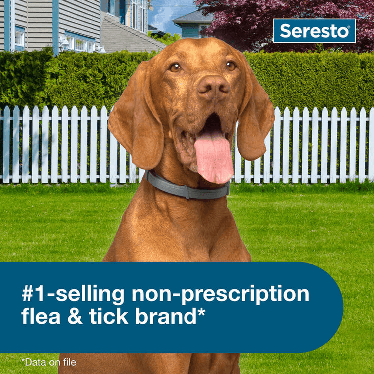 Seresto Flea and Tick Collar for Large Dogs - Calvetsupply
