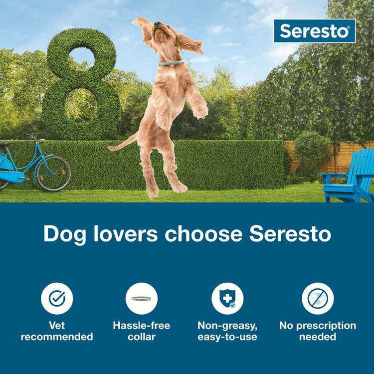 Seresto Flea and Tick Collar for Large Dogs - Calvetsupply